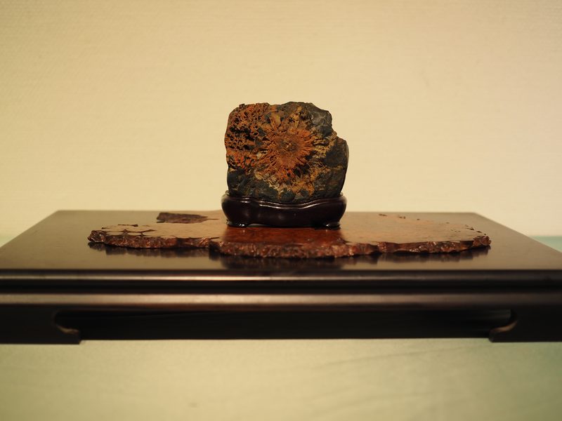 水石 ─ 菊花石