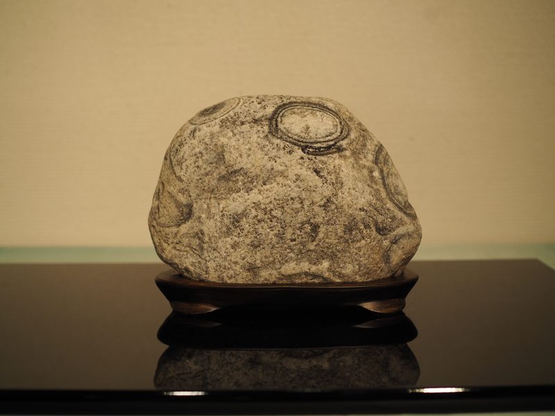 水石 ─ 紋様石