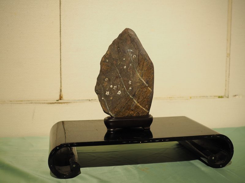 水石 ─ 文様石