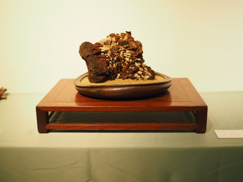 水石 ─ 溶岩石